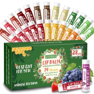 28 Pack Natural Lip Balm Bulk with Vitamin E and Coconut Oil – Moisturizing, Soothing, and Repairing Dry and Chapped Lips – 14 Flavors – Non-GMO