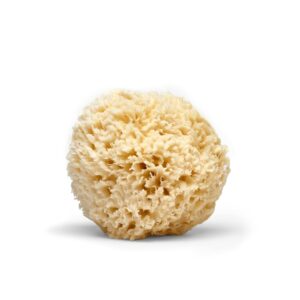 LATHER Natural Sea Wool Sponge 4-6” – Gentle Exfoliating Loofah for Invigorating Spa Experience – Natural Bath Sponge Varies in Size & Shape – Organic Loofah